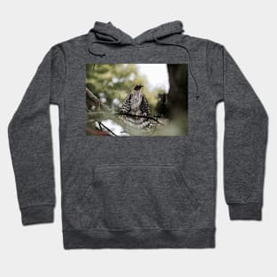 Black Hawk Hoodie